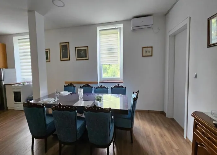 - Two Bedroom With Terrace Gracac (Zadar)